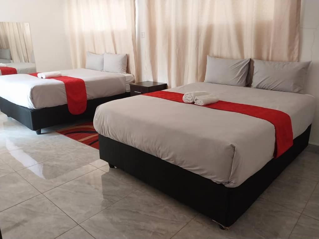 Mt Pleasant Bed And Breakfast Ltd Harare Kültér fotó